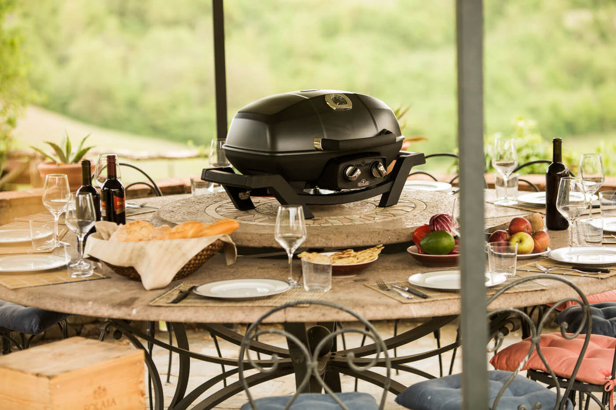 Asador Napoleon Portatil Travelq Pro285