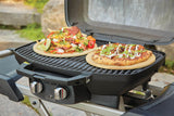 Asador Napoleon Portatil Travelq Pro285X