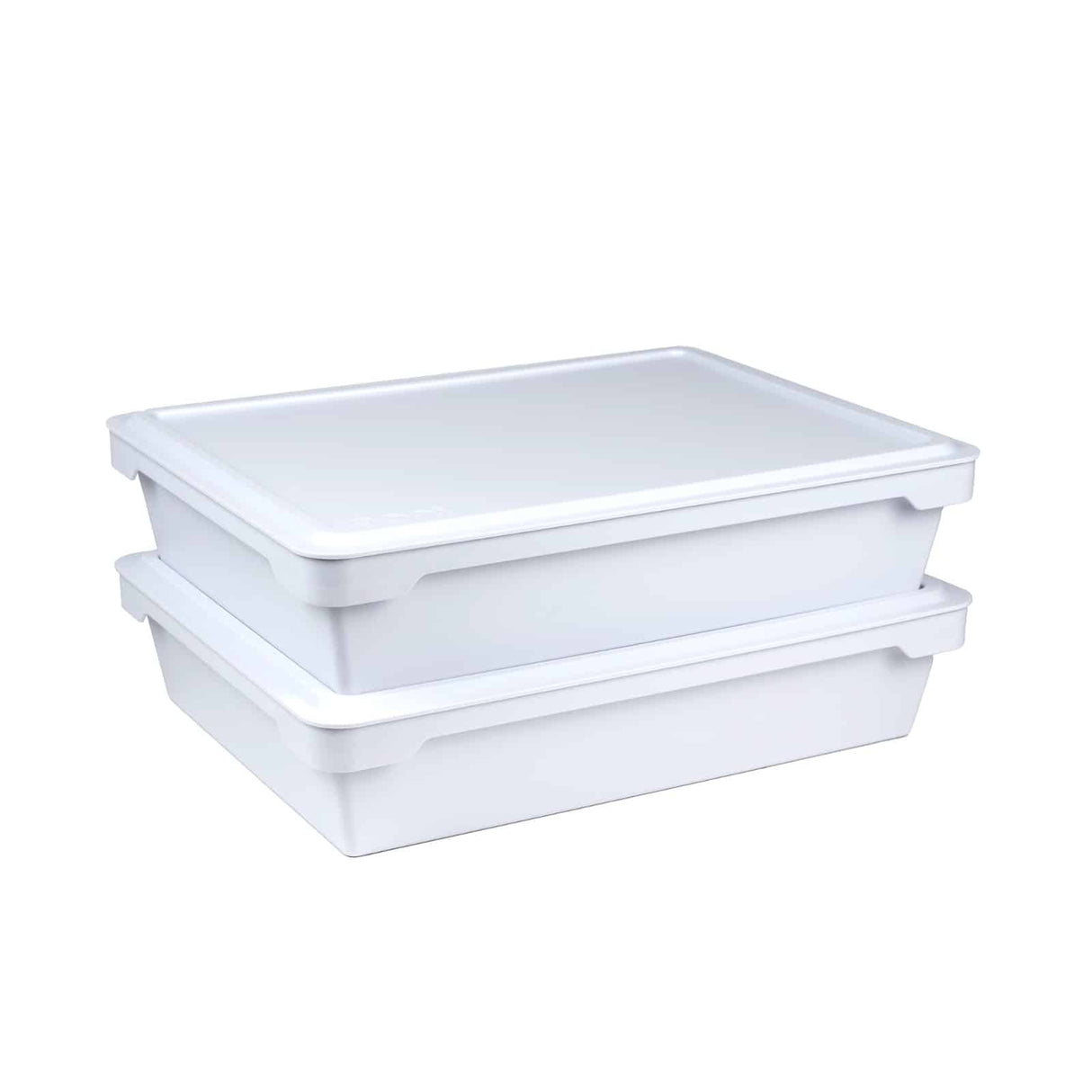 Caja para Madurar Masas
